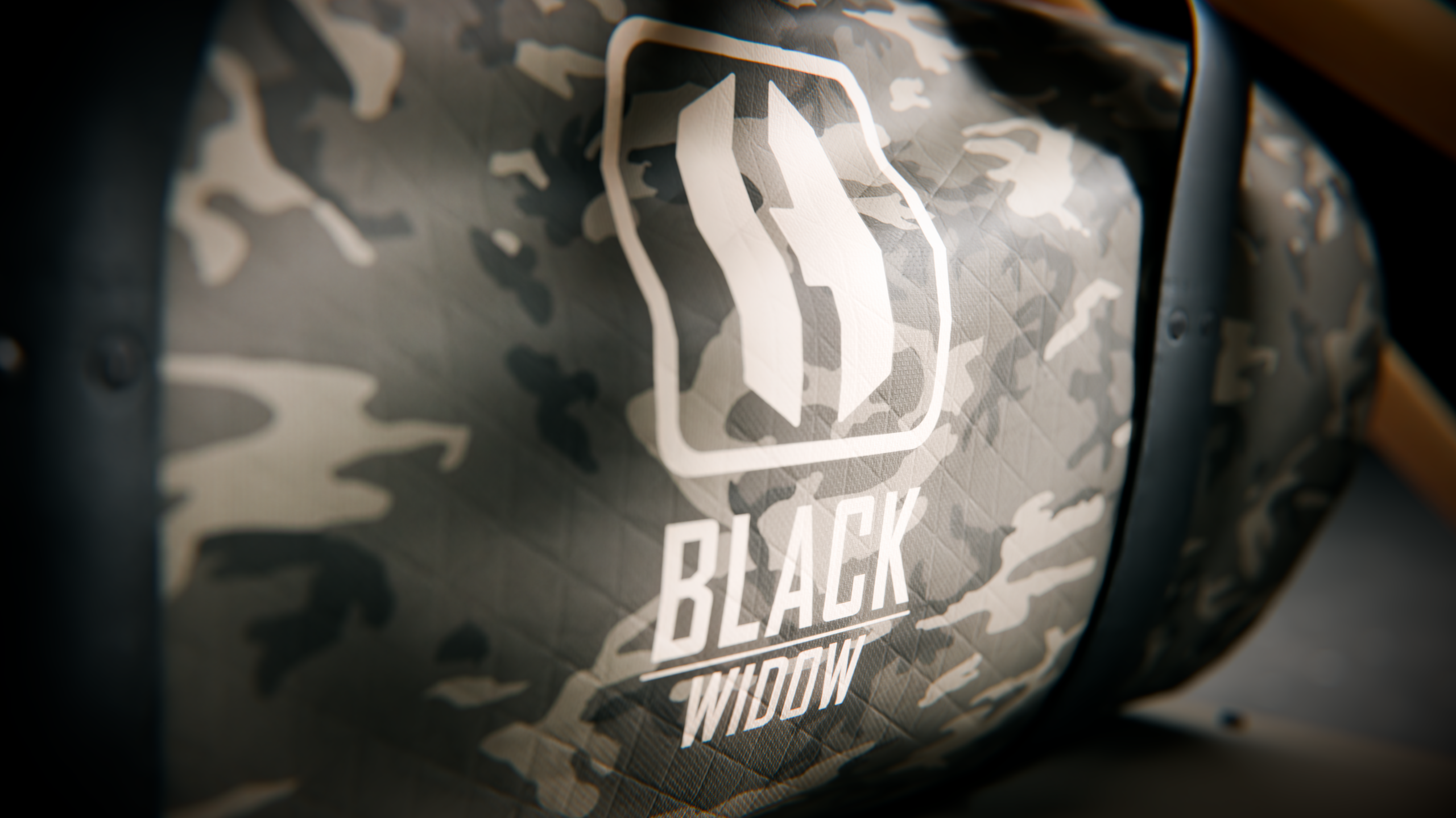 BlackWidow_Structure_Angle_6 (1)